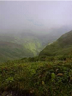 A view from Pele during the fog