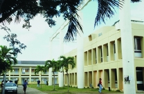 The campus of the university.